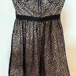 Aqua Black Lace Mini Dress